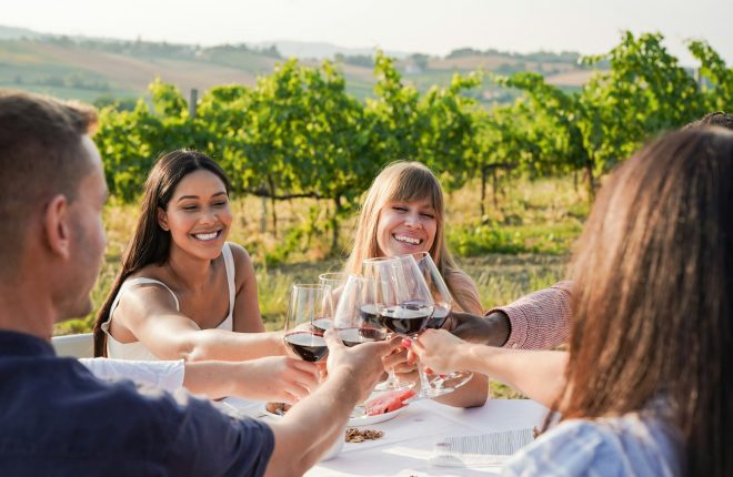 Group of young multiracial people cheering with red wine outdoor